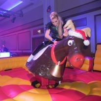 Kidderminster rodeo bull hire